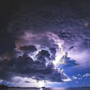 Meet your Posher, Damien